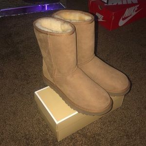 NEW ugg boots
